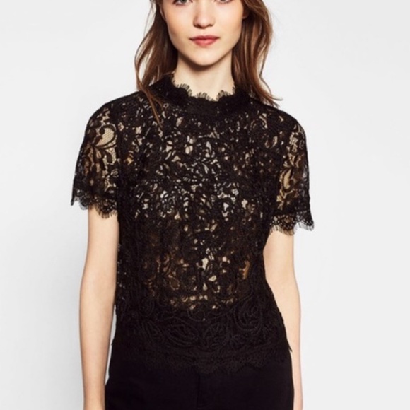 Top - Picture 1 of 6